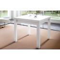 Mesa comedor 350.025