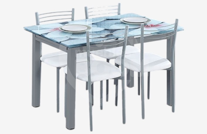 Mesa + 4 sillas 012.025