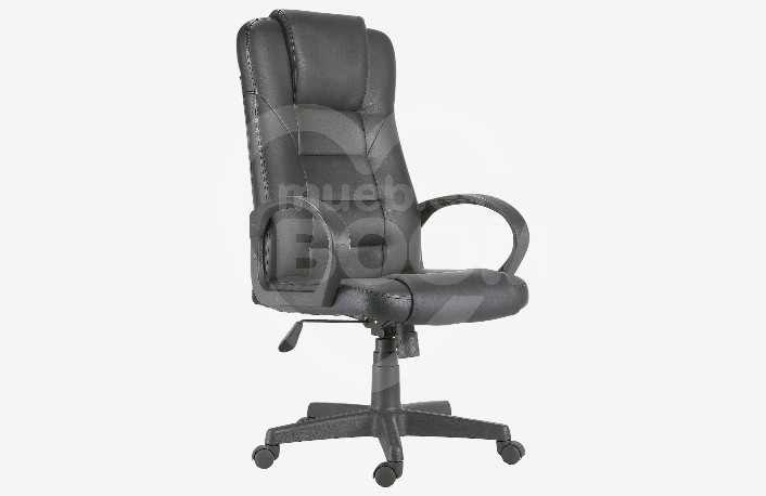 Sillón despacho 255.097