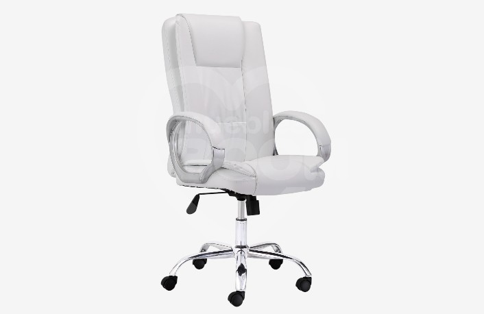 Sillón despacho 255.097