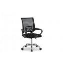 Sillón elevable 
