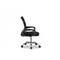 Sillón elevable 