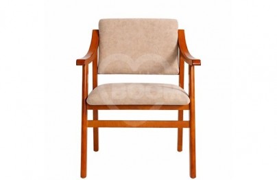 Sillón con brazos 422.012