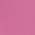 127. Fucsia