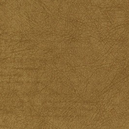 Eda 21-Oro