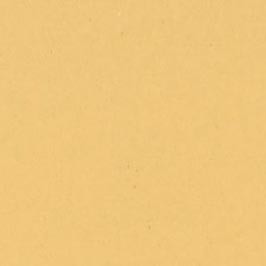019. Caramelo